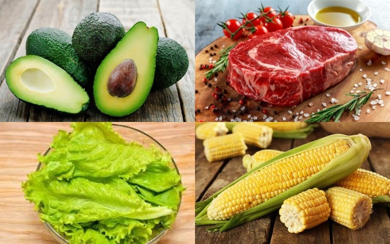 Nguyên liệu món ăn 5 món salad bơ hải sản, bò, gà, trứng