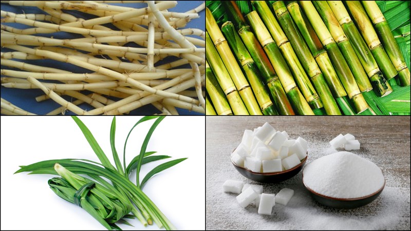Nguyên liệu món ăn nước rễ tranh mía lau