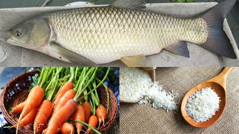 Nguyên liệu món ăn 2 cách nấu cháo cá chép cà rốt