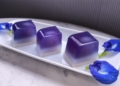 Blue Pea Santan Agar Agar Jelly with Longan 5 50 screenshot 1200x675 1