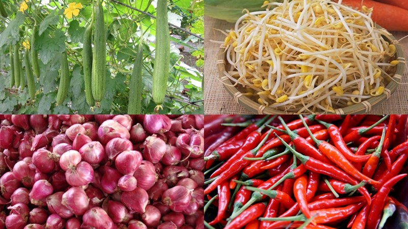 Nguyên liệu món ăn mướp xào giá đỗ