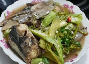 CanhChuaCaThu1200 1200x676 1