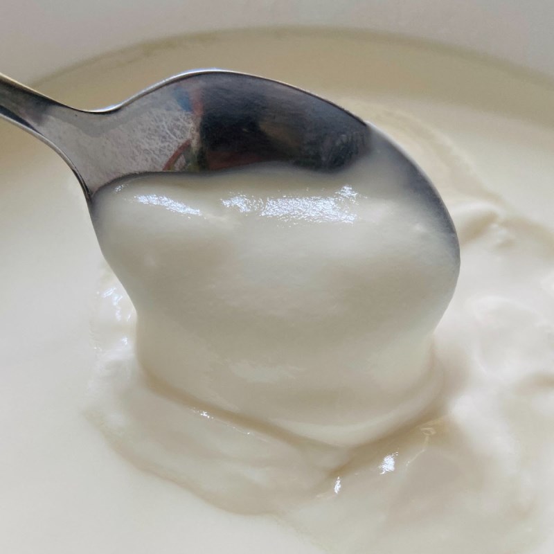 Bước 2 Làm và ủ sữa chua Sữa chua nếp cẩm (công thức được chia sẻ từ người dùng)