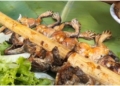 Thumb 1200x676 7
