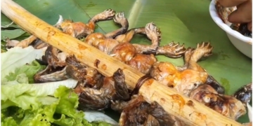 Thumb 1200x676 7