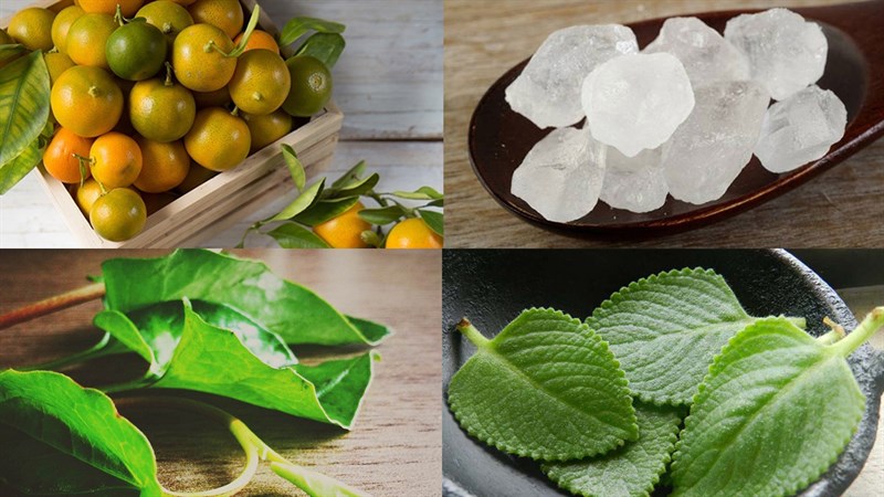 Nguyên liệu món ăn siro húng quất (tắc) đường phèn diếp cá