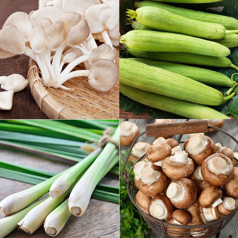 Nguyên liệu món ăn bún cá châu đốc chay