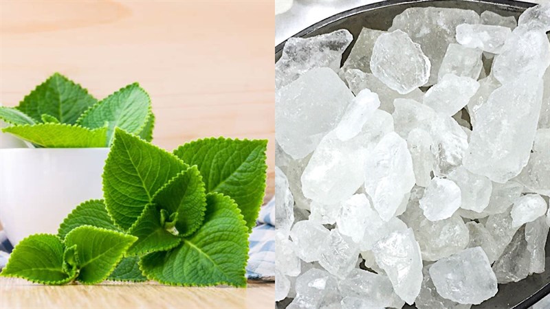 Nguyên liệu món ăn siro húng chanh