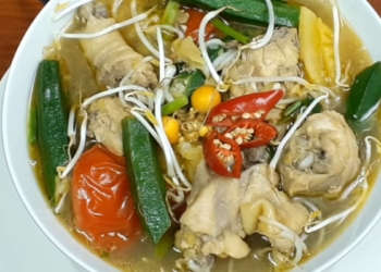 Webp.net resizeimage67 1200x676 1