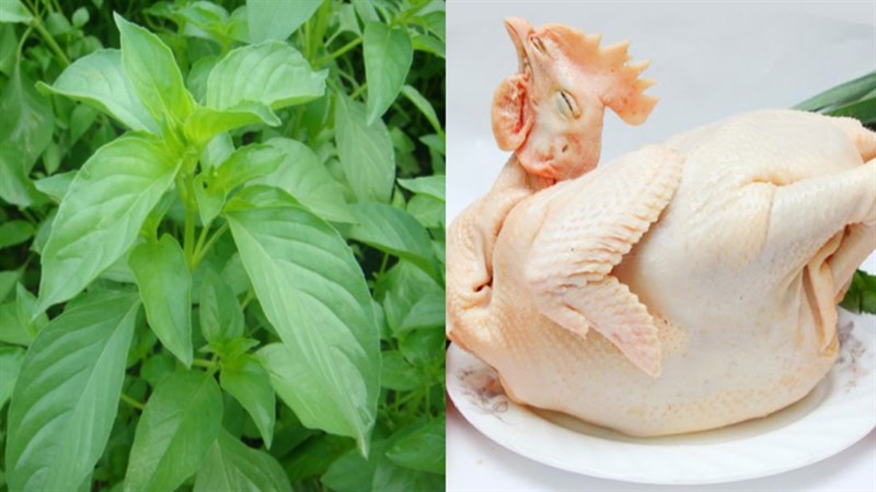 Nguyên liệu món ăn canh gà nấu chua và canh gà lá é