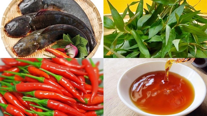 Nguyên liệu món ăn cá trê kho dưa chua và rau răm
