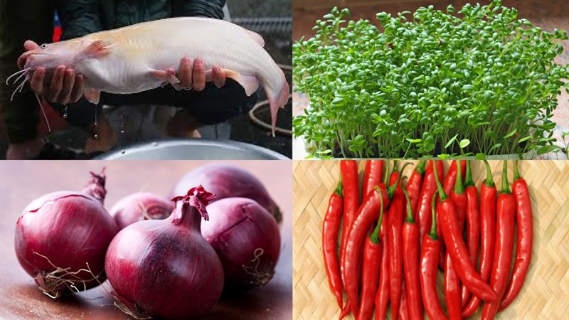 Nguyên liệu món ăn gỏi cá lăng trộn rau mầm