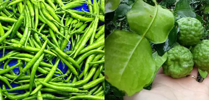 Nguyên liệu món ăn cơm cà ri xanh, cà ri xanh tôm củ hủ dừa thái lan