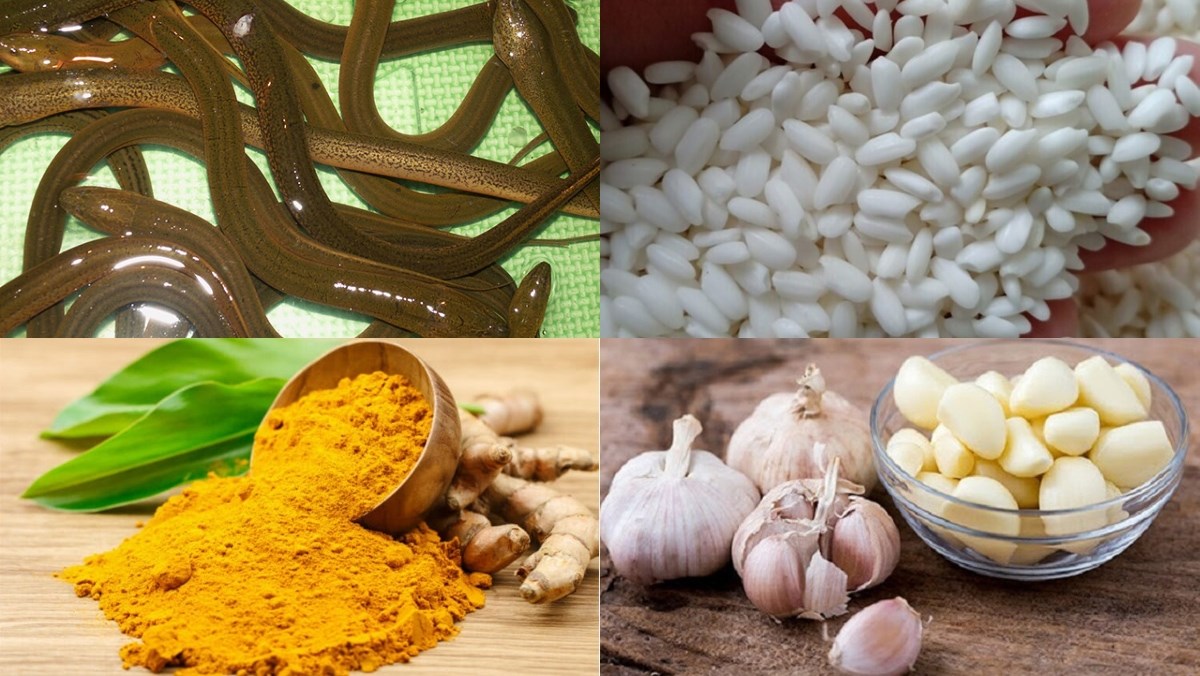 Nguyên liệu món ăn cháo lươn