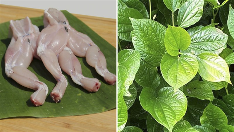Nguyên liệu món ăn ếch xào lá lốt và lá tía tô