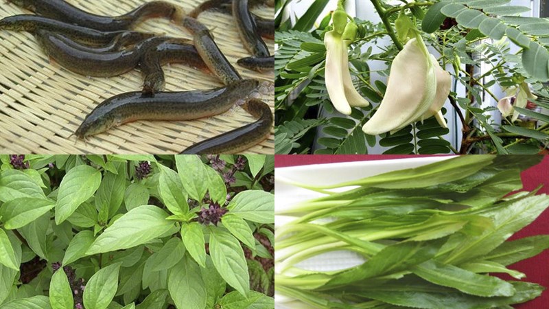 Nguyên liệu món ăn 2 cách làm cá chạch nấu canh chua