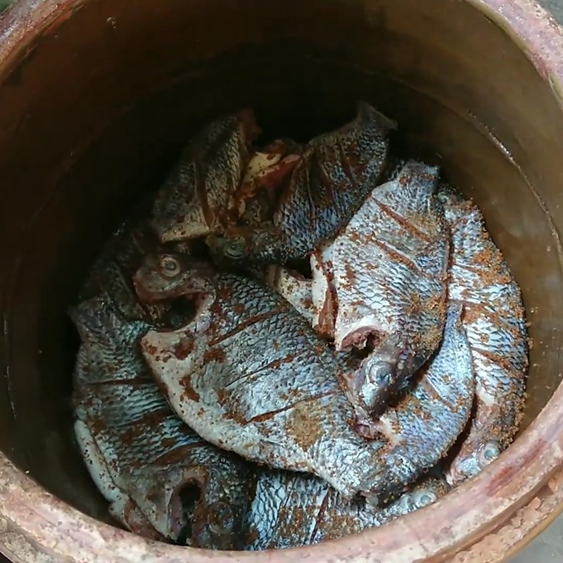 Bước 6 Cho cá ăn thính Mắm cá rô phi