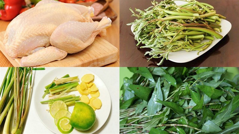 Nguyên liệu món ăn gỏi gà rau nhút