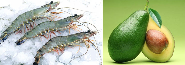 Nguyên liệu món ăn 5 món salad bơ hải sản, bò, gà, trứng