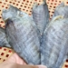 kho ca sac thumbnail 1 1200x676 1