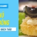 2 Cách làm đậu hũ non chiên xù giòn ngon, dễ làm tại nhà 18 maxresdefault 82