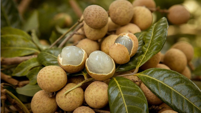 Nguyên liệu món ăn nhãn nhục