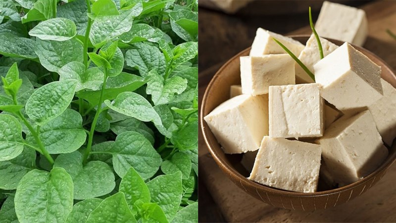 Nguyên liệu món ăn canh mồng tơi đậu hũ