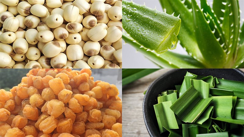 Nguyên liệu món ăn chè hạt sen nha đam nhãn nhục và đậu xanh