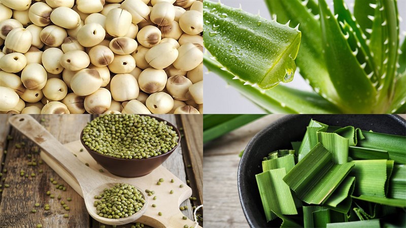 Nguyên liệu món ăn chè hạt sen nha đam nhãn nhục và đậu xanh