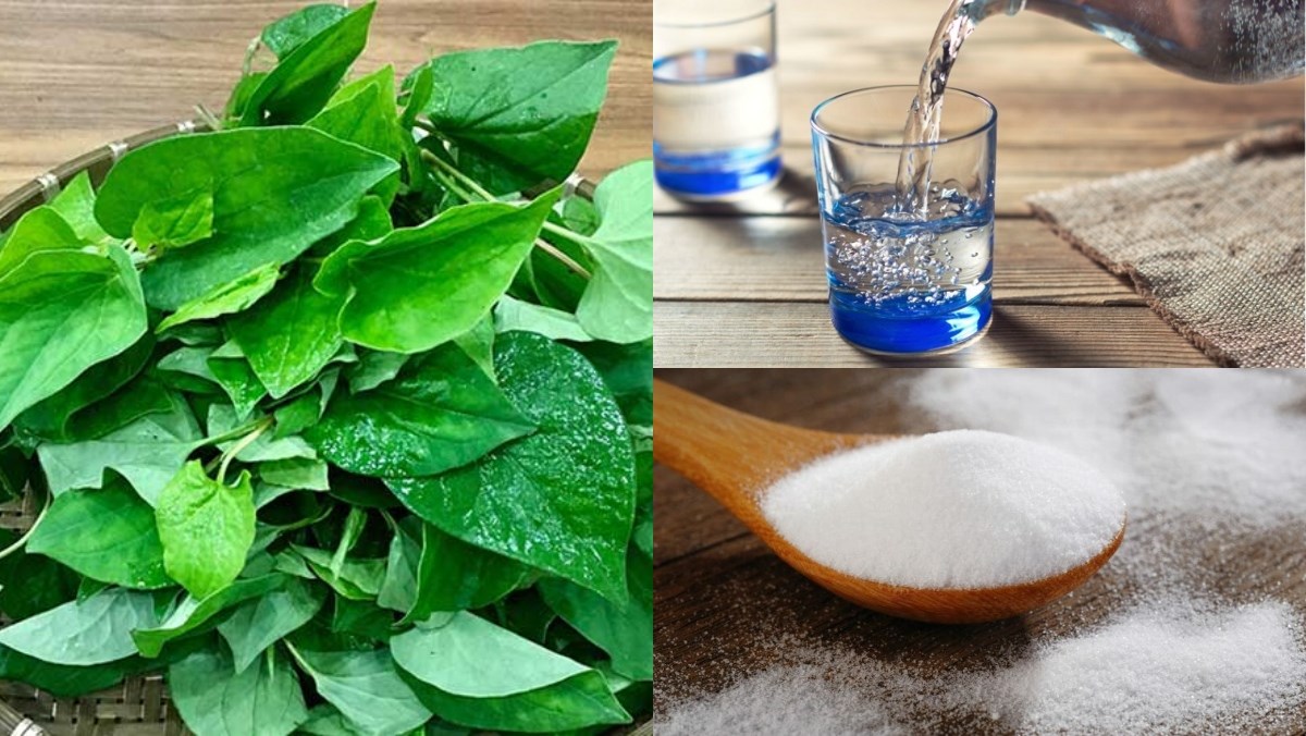 Nguyên liệu món ăn nước ép rau diếp cá