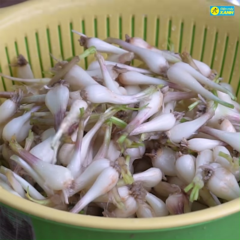 Bước 1 Ngâm củ kiệu Củ kiệu chua ngọt - Cách Nấu Ngon