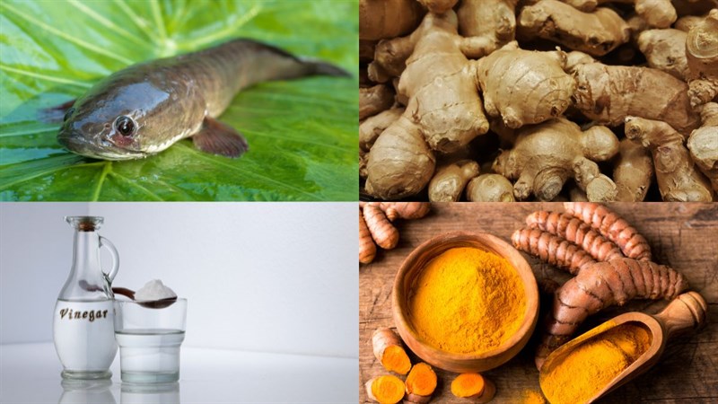 Nguyên liệu món ăn chà bông (ruốc) cá lóc