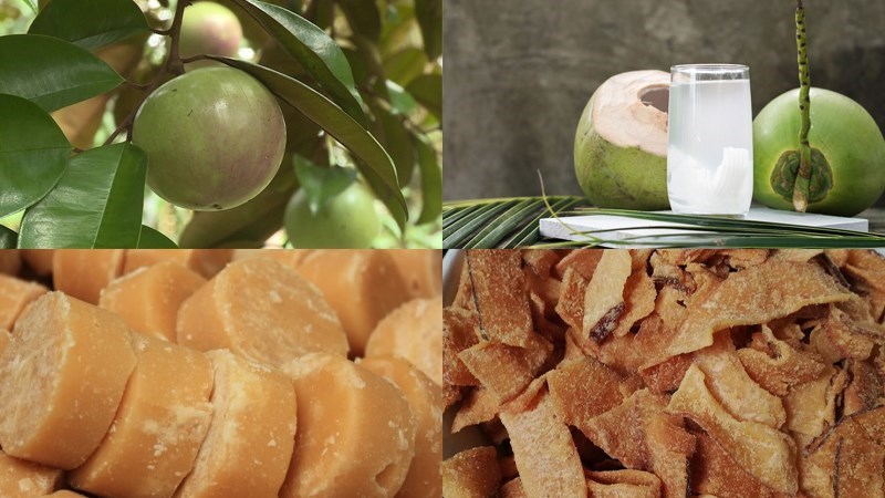 Nguyên liệu món ăn sinh tố vú sữa