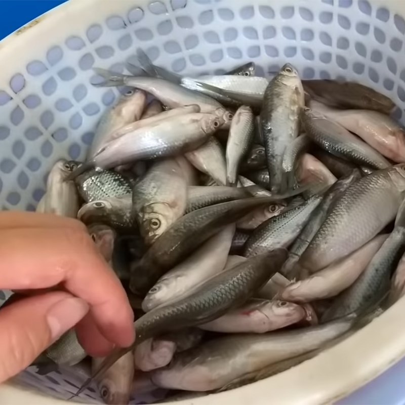 Bước 1 Sơ chế cá Mắm cá linh