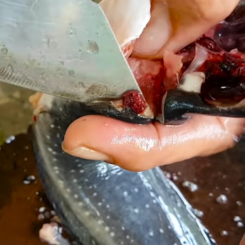 Bước 1 Sơ chế cá trê Cá trê kho tiêu