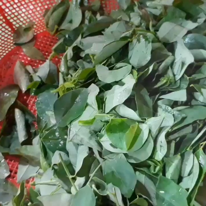 Bước 1 Sơ chế các nguyên liệu Canh rau ngót chay đậu hũ nấm rơm