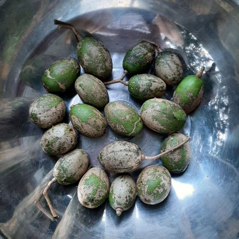 Bước 1 Sơ chế cóc Cóc lắc