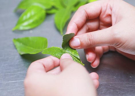 Bước 1 Sơ chế nguyên liệu Sốt cà ri xanh Thái Lan