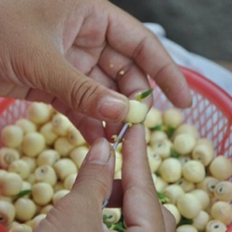 Bước 1 Sơ chế nguyên liệu Sữa hạt sen đậu xanh