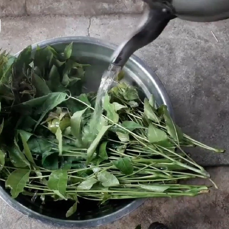 Bước 1 Sơ chế nguyên liệu Gỏi sầu đâu khô cá lóc