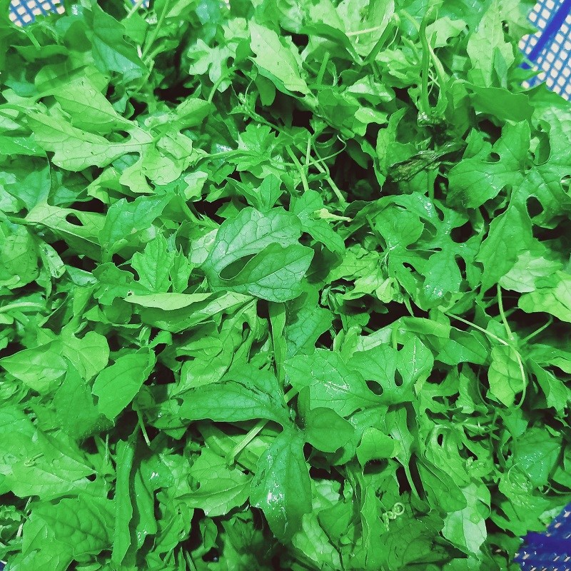 Bước 1 Sơ chế các nguyên liệu Bò nhúng nước dừa lá khổ qua rừng (công thức được chia sẻ từ người dùng)