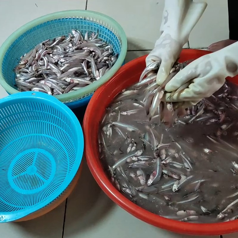 Bước 1 Sơ chế và làm sạch cá Nước mắm cá cơm