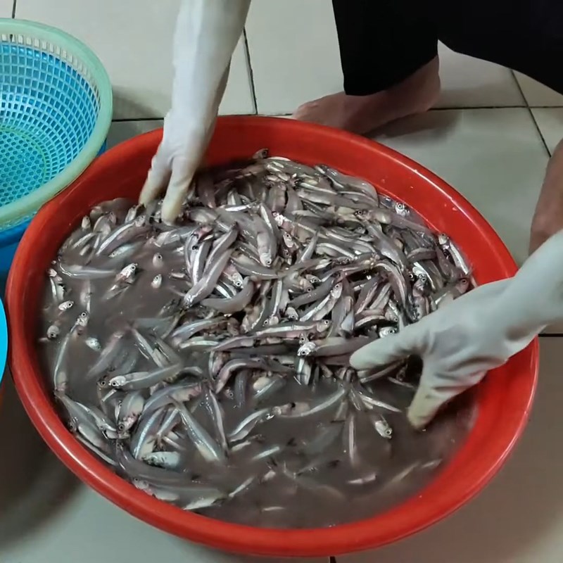 Bước 1 Sơ chế và làm sạch cá Nước mắm cá cơm