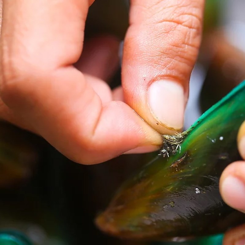 Bước 1 Sơ chế vẹm Vẹm xanh nướng bơ tỏi