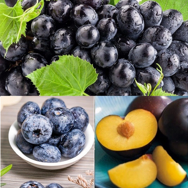 Nguyên liệu món ăn salad hoa quả giảm cân từ trái cây họ berry