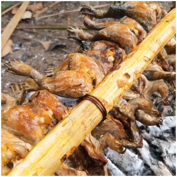 Bước 4 Thành phẩm Ếch nướng mọi
