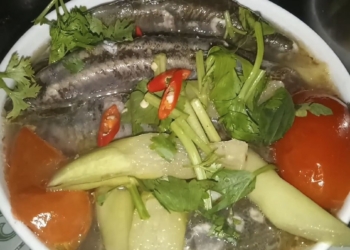 thumbcmscn 1200x676 10