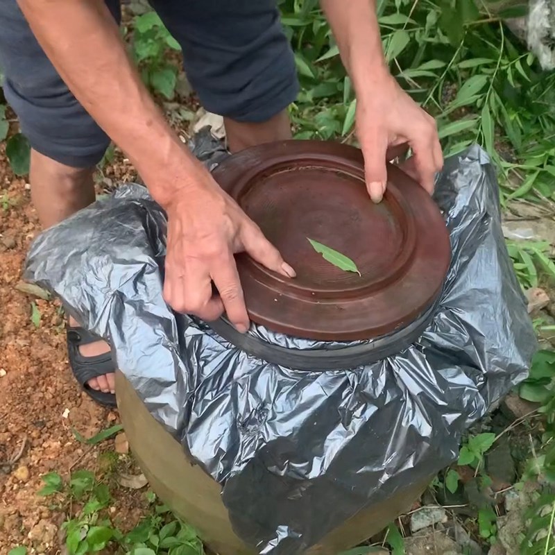 Bước 4 Ủ cá Mắm cá rô phi