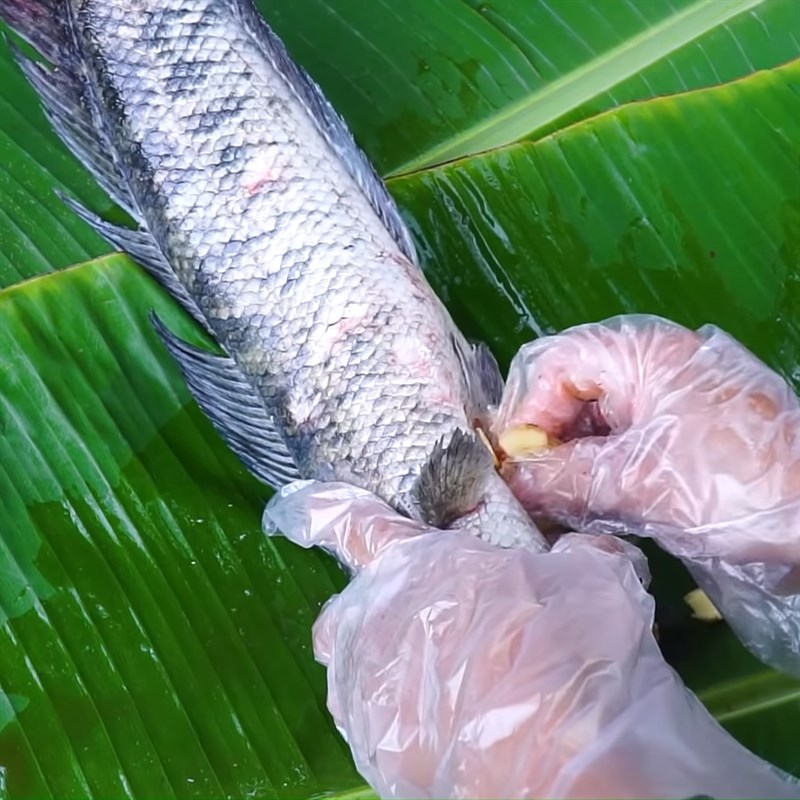 Bước 2 Ướp cá lóc Cá lóc nướng muối tuyết