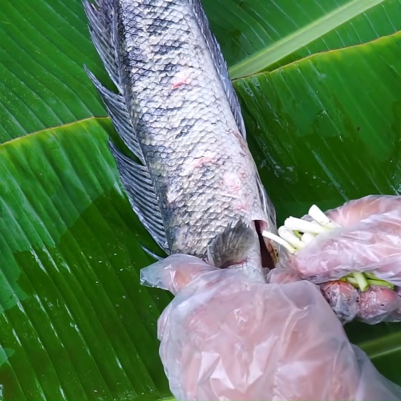 Bước 2 Ướp cá lóc Cá lóc nướng muối tuyết
